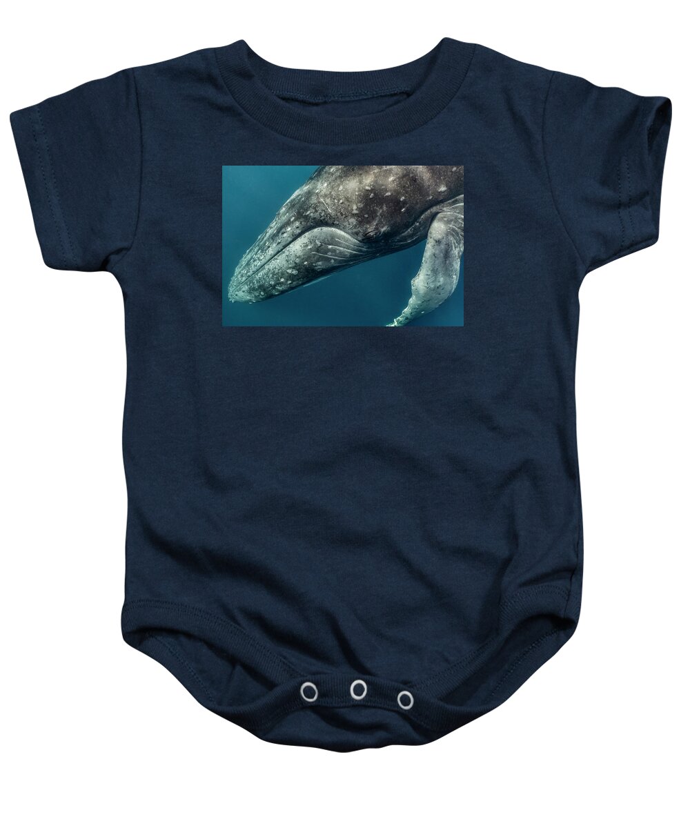 Animal Baby Onesie featuring the photograph Humbpack Whale Up Close by Tui De Roy