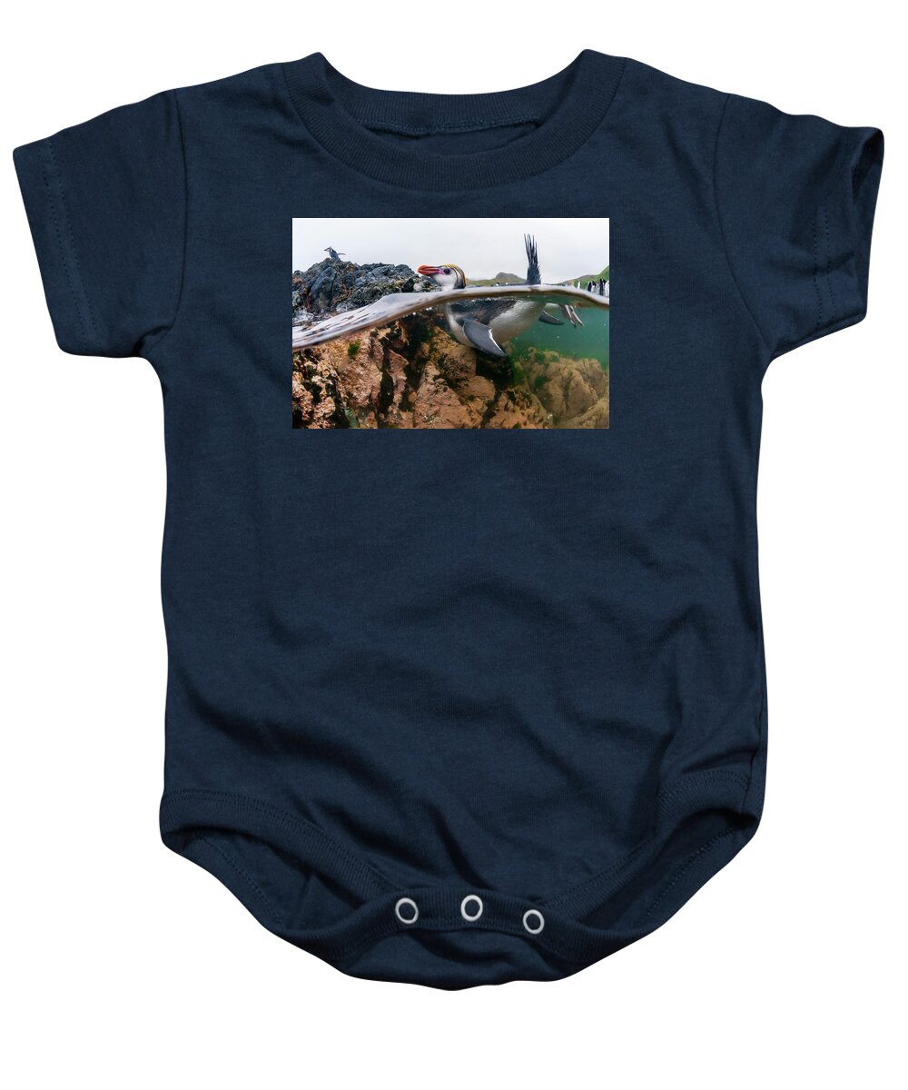 Animal Baby Onesie featuring the photograph Royal Penguin Swimming by Tui De Roy