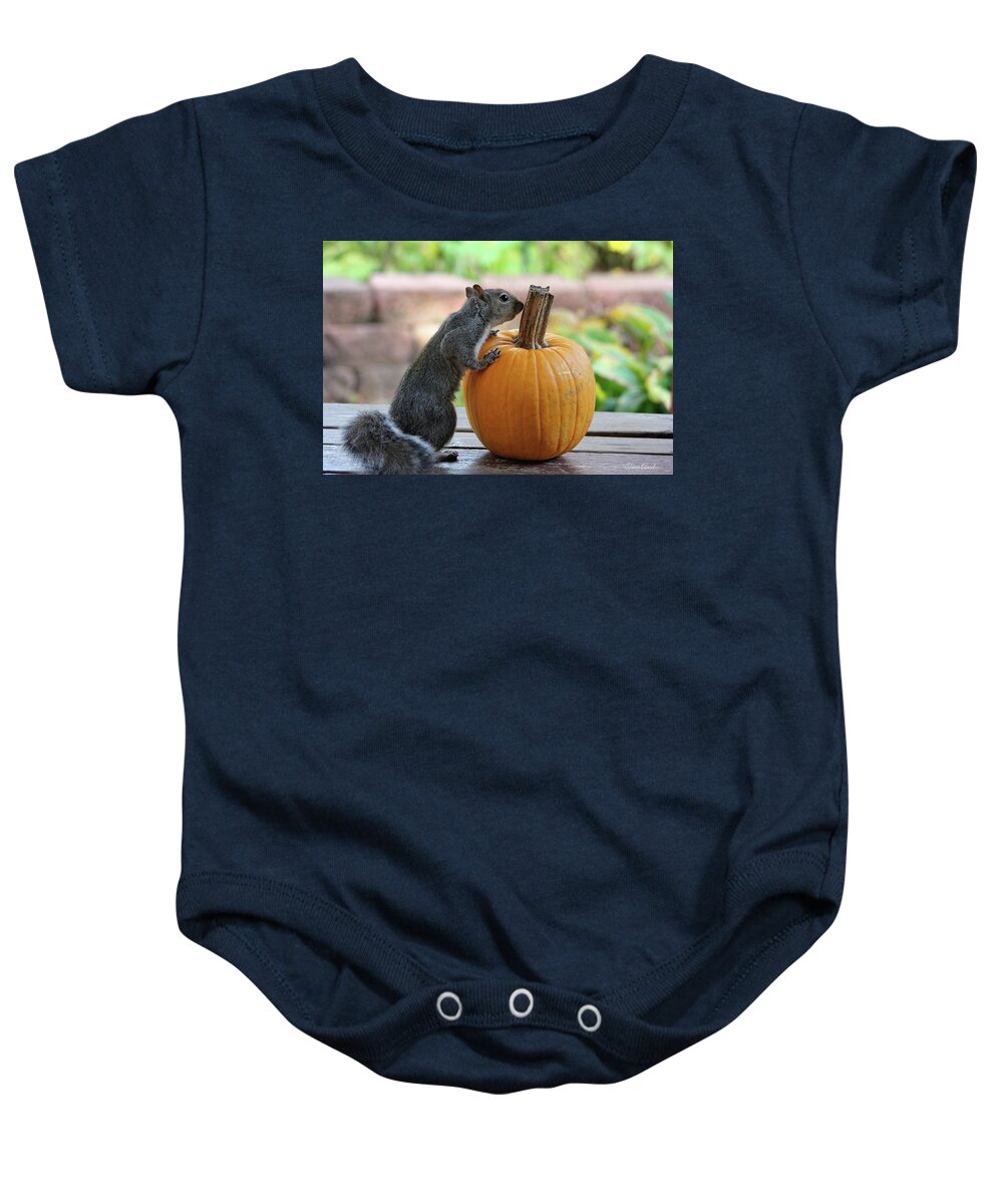 Wildlife Baby Onesie featuring the photograph Squirrel and Pumpkin by Trina Ansel