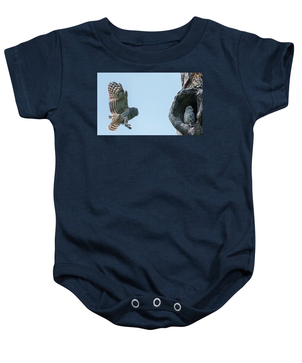 Baby Barred Owls Baby Onesie featuring the photograph Taking care of my Babies - Mama Barred owl by Puttaswamy Ravishankar