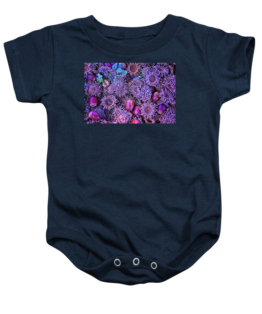Abstract Baby Onesie featuring the digital art Acorns, Pods, And Seeds by David Desautel