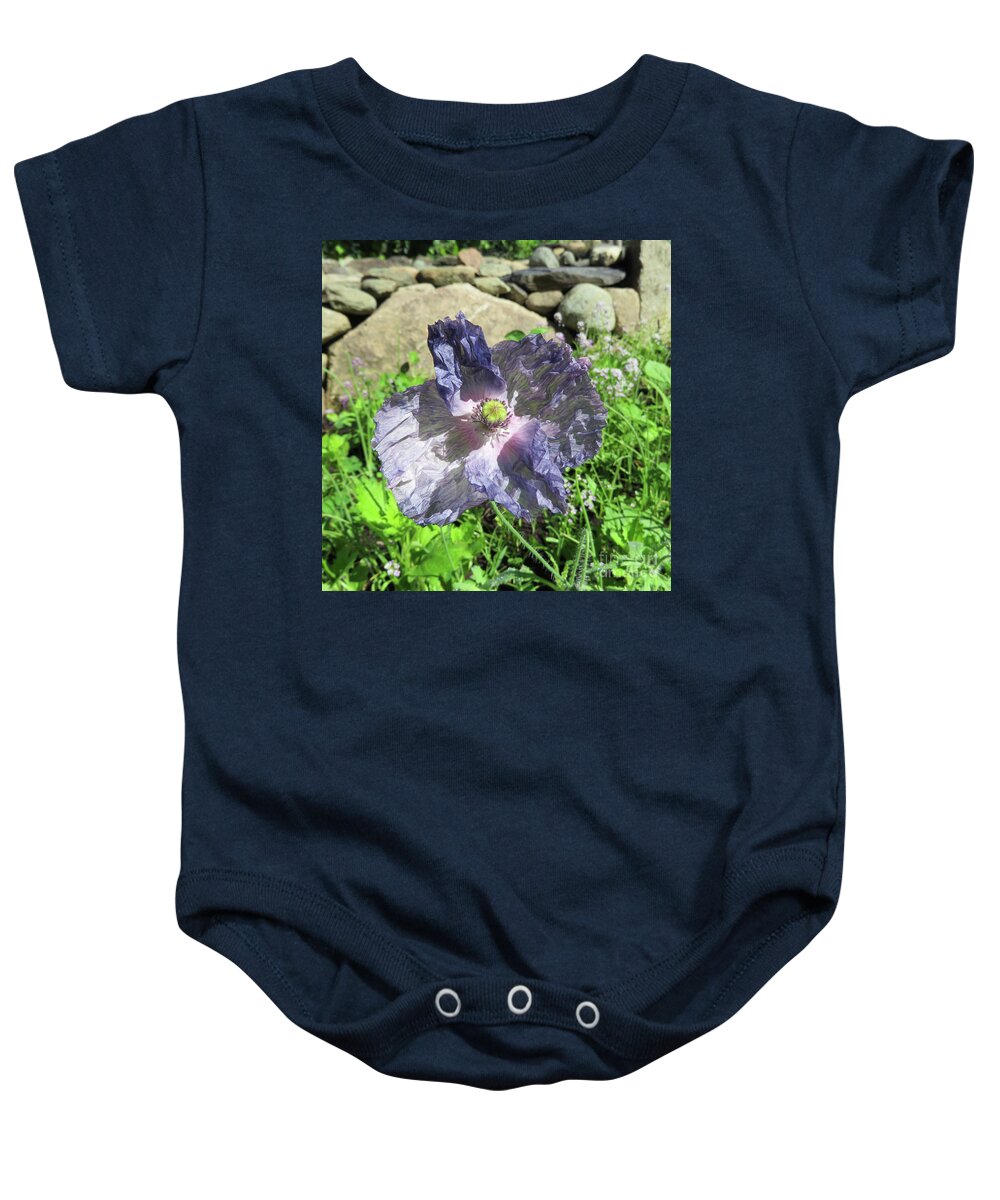 Poppy Baby Onesie featuring the photograph Amazing Grey Poppy. Papaver Rhoeas 3 by Amy E Fraser