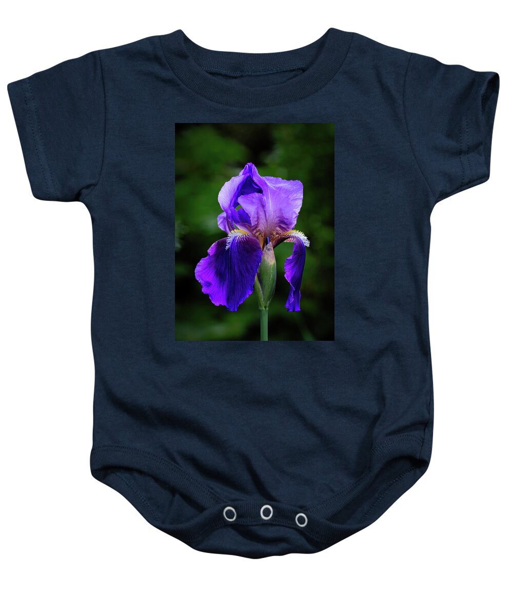 2021 Baby Onesie featuring the photograph Bearded Iris Portrait by Charles Hite