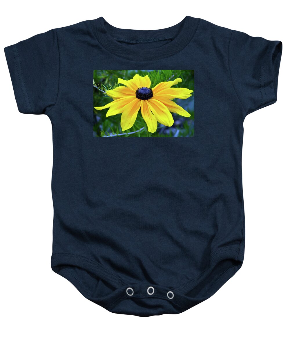 Black Eyed Susan Baby Onesie featuring the photograph Black Eyed Susan Portrait by Terence Davis