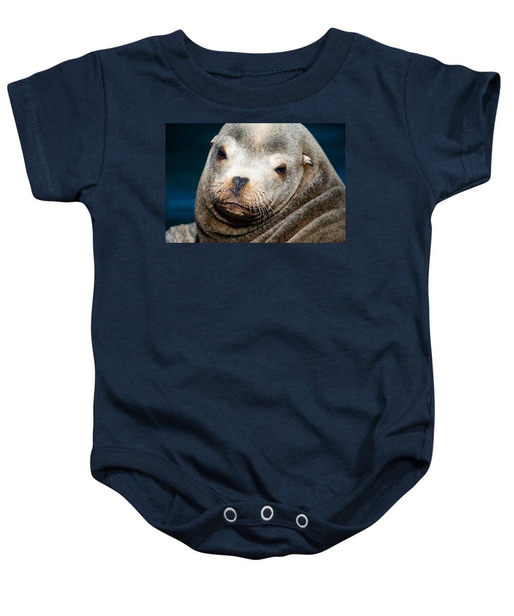 Sea Lion Baby Onesie featuring the photograph California Sea Lion by Bonny Puckett