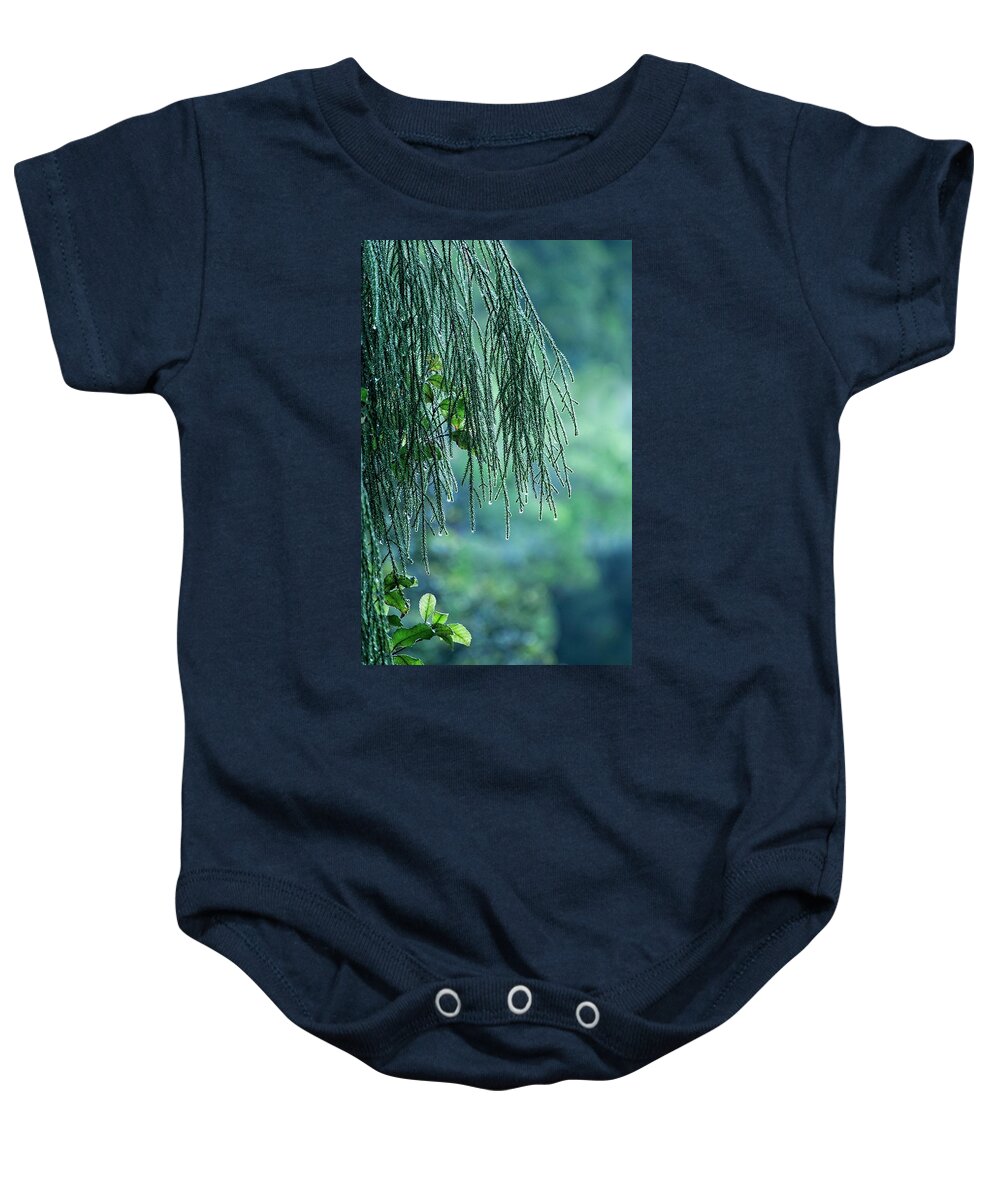 New Zealand Baby Onesie featuring the photograph Conifer Tree at Dawn, New Zealand by Steven Ralser