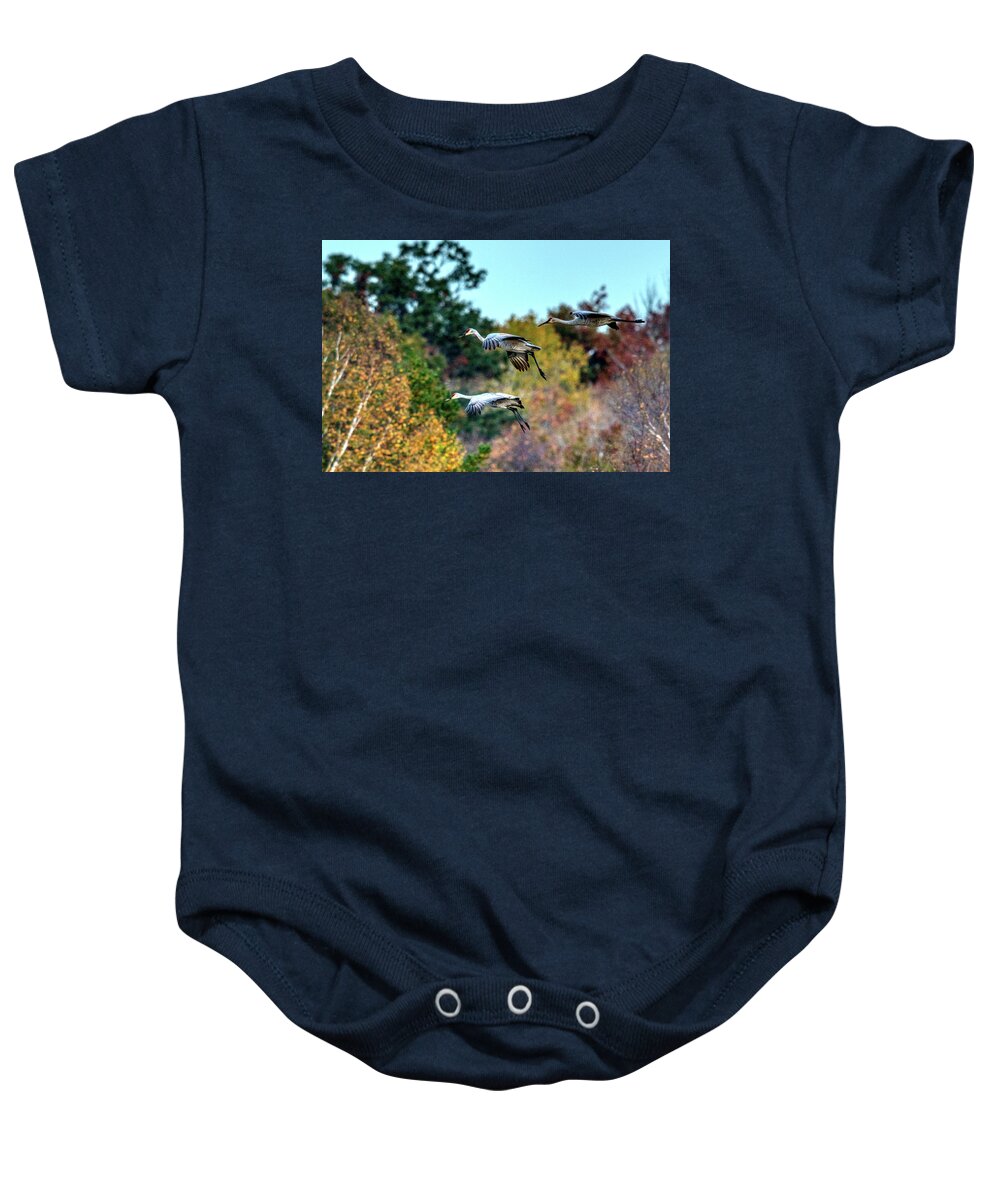 Nature Baby Onesie featuring the photograph Cranes in Fall by Paul Freidlund