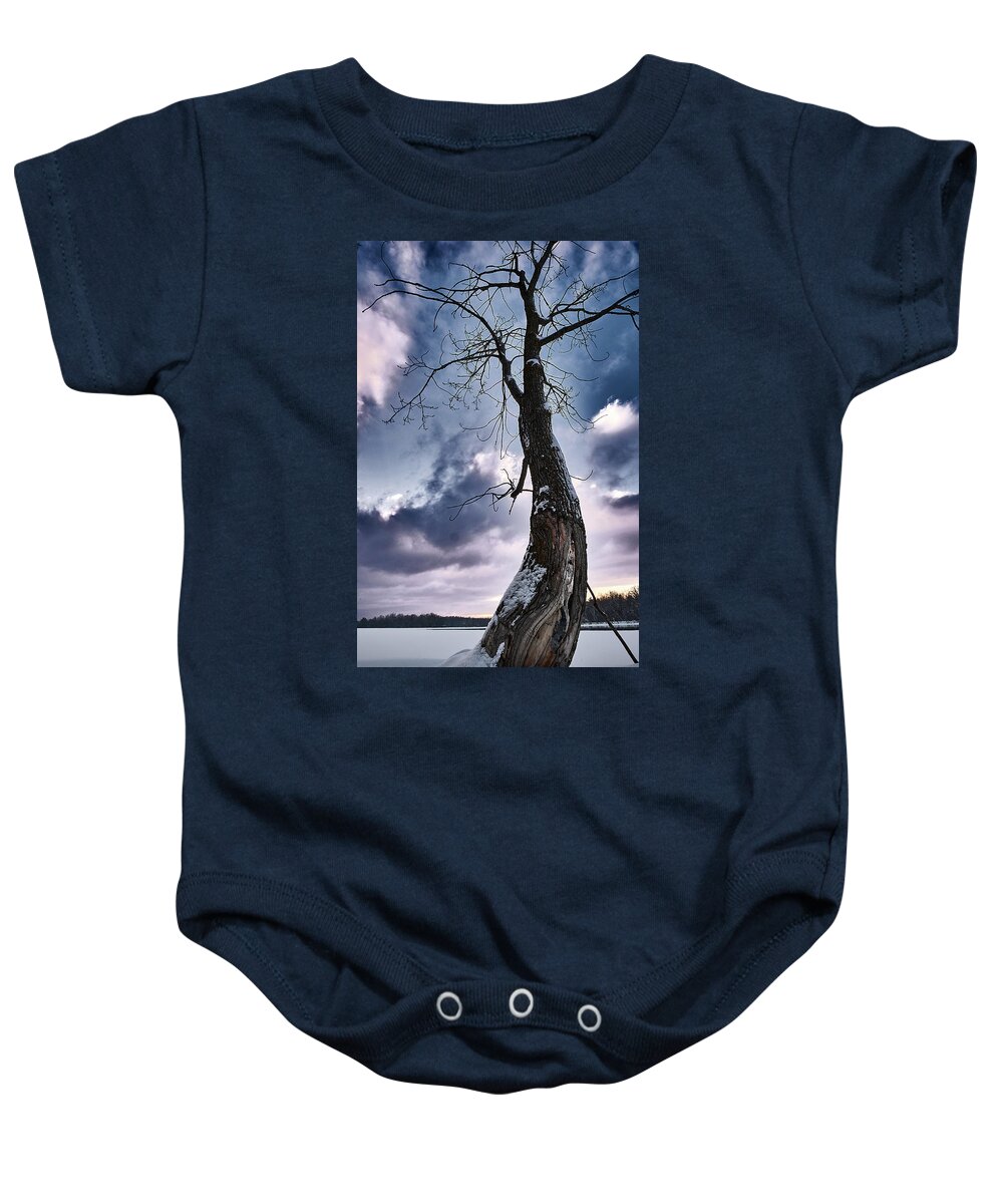 Tree Baby Onesie featuring the photograph The Solo Curb Tree On The River by Carl Marceau