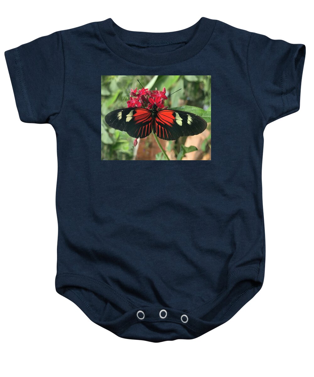 Doris Longway Butterfly Baby Onesie featuring the photograph Doris Longwing Butterfly in Ecuador by Matthew Bamberg