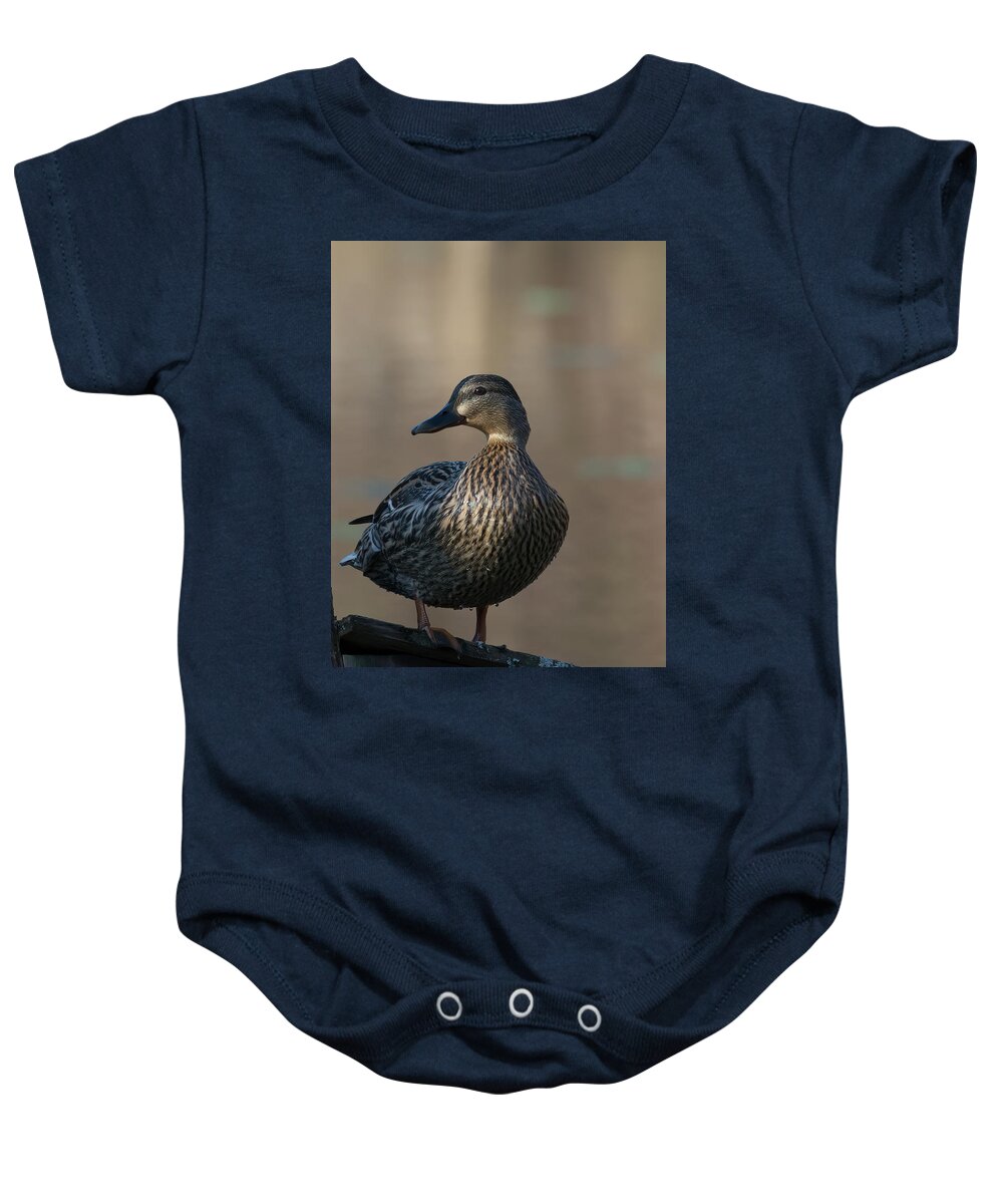 Bird Baby Onesie featuring the photograph Duck by Paul Ross