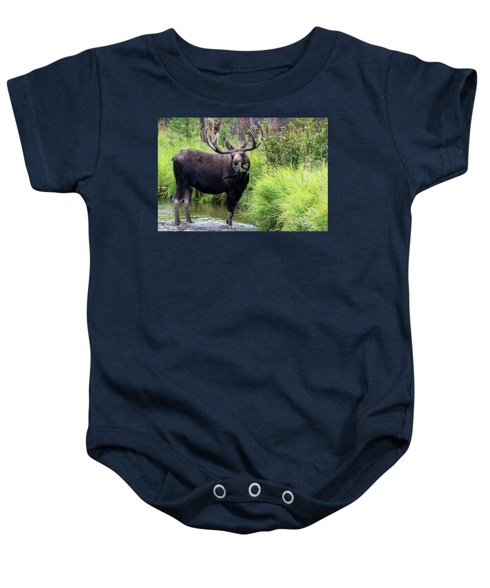 Moose Baby Onesie featuring the photograph Eating Greens by Darlene Bushue
