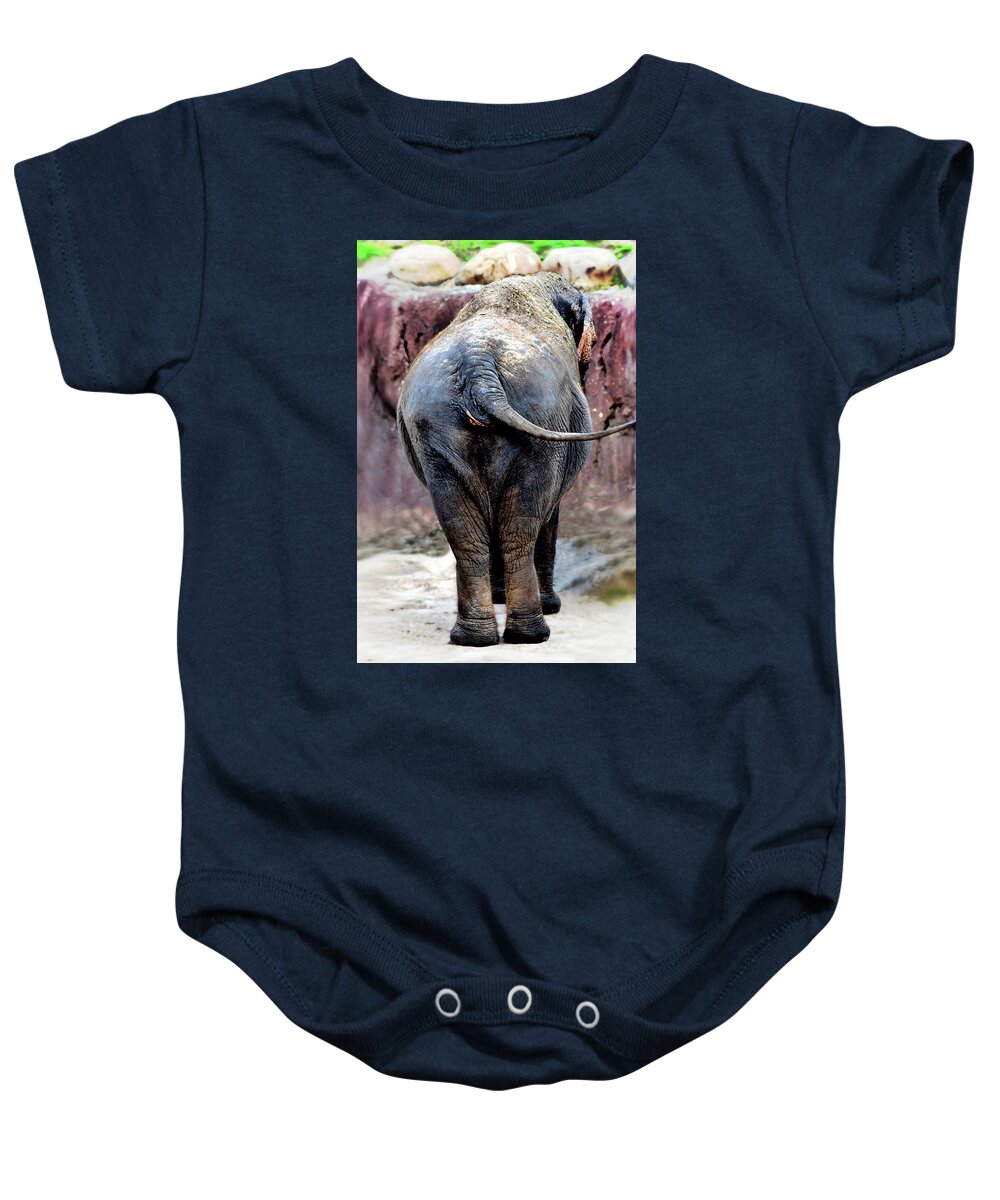 Elephant Baby Onesie featuring the photograph Elephant Photo 144 by Lucie Dumas