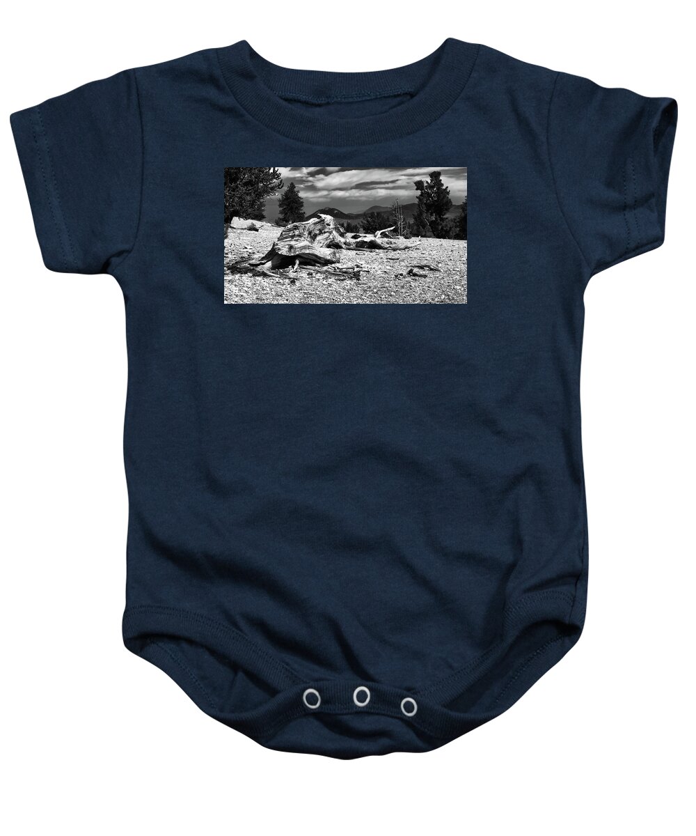 Ca Baby Onesie featuring the photograph Final Crawl by American Landscapes