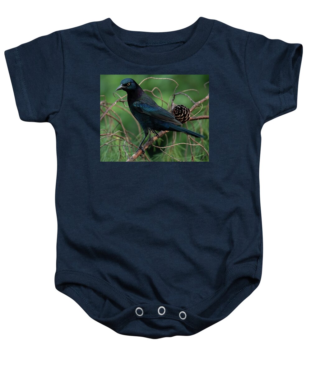 Grackle Baby Onesie featuring the photograph Grackle Giving The Look by Don Durfee