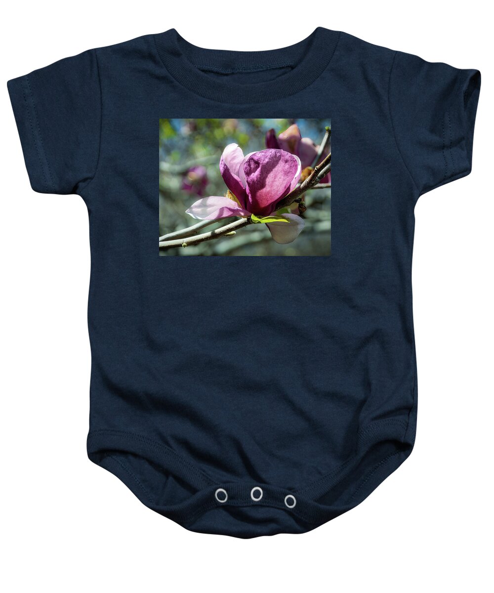 Lily Magnolia Tree Baby Onesie featuring the photograph Lily Magnolia by Cheri Freeman