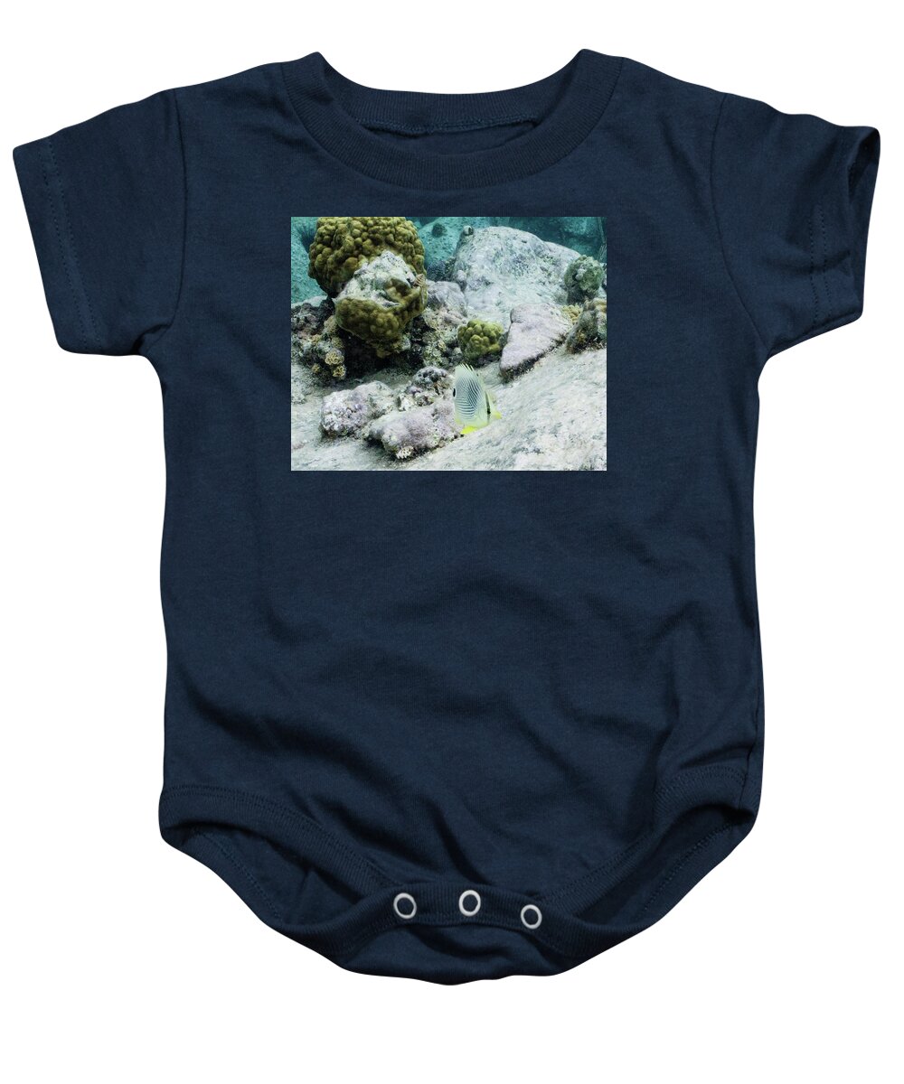 Animals Baby Onesie featuring the photograph Little Bit by Lynne Browne
