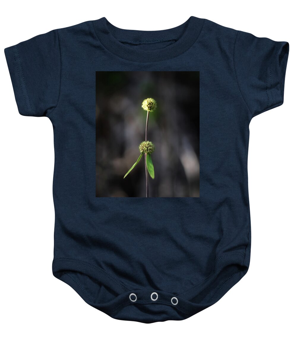 Nature Art Baby Onesie featuring the photograph Nature Pic 2 by Gian Smith