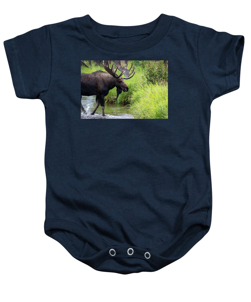 Moose Baby Onesie featuring the photograph On the Move by Darlene Bushue