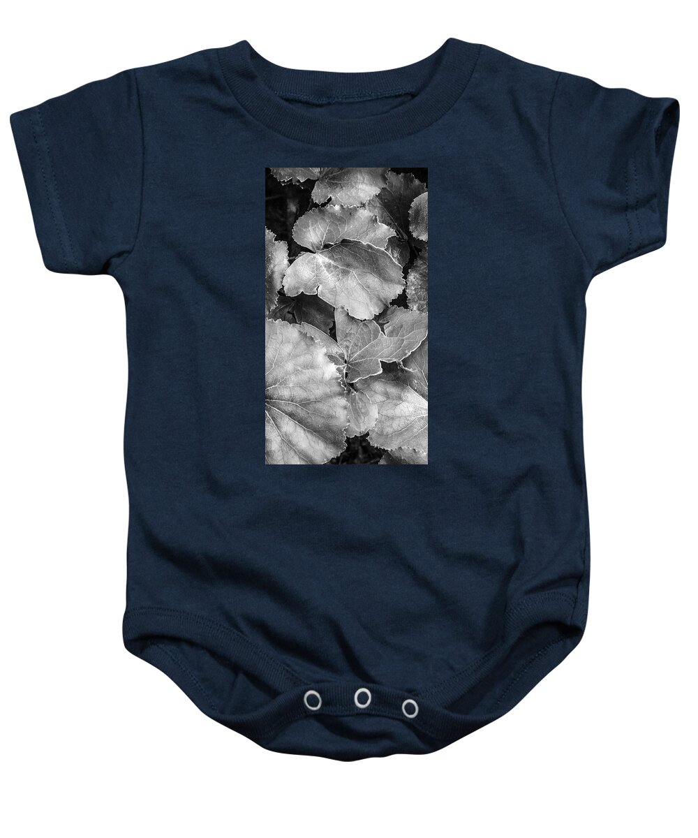 Georgia Baby Onesie featuring the photograph Silver Edged Leaves in the Forest II by Debra and Dave Vanderlaan