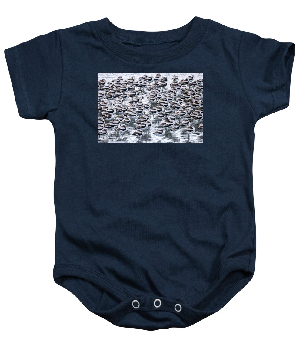  Baby Onesie featuring the photograph Sleeping American Avocets #1 by Carla Brennan
