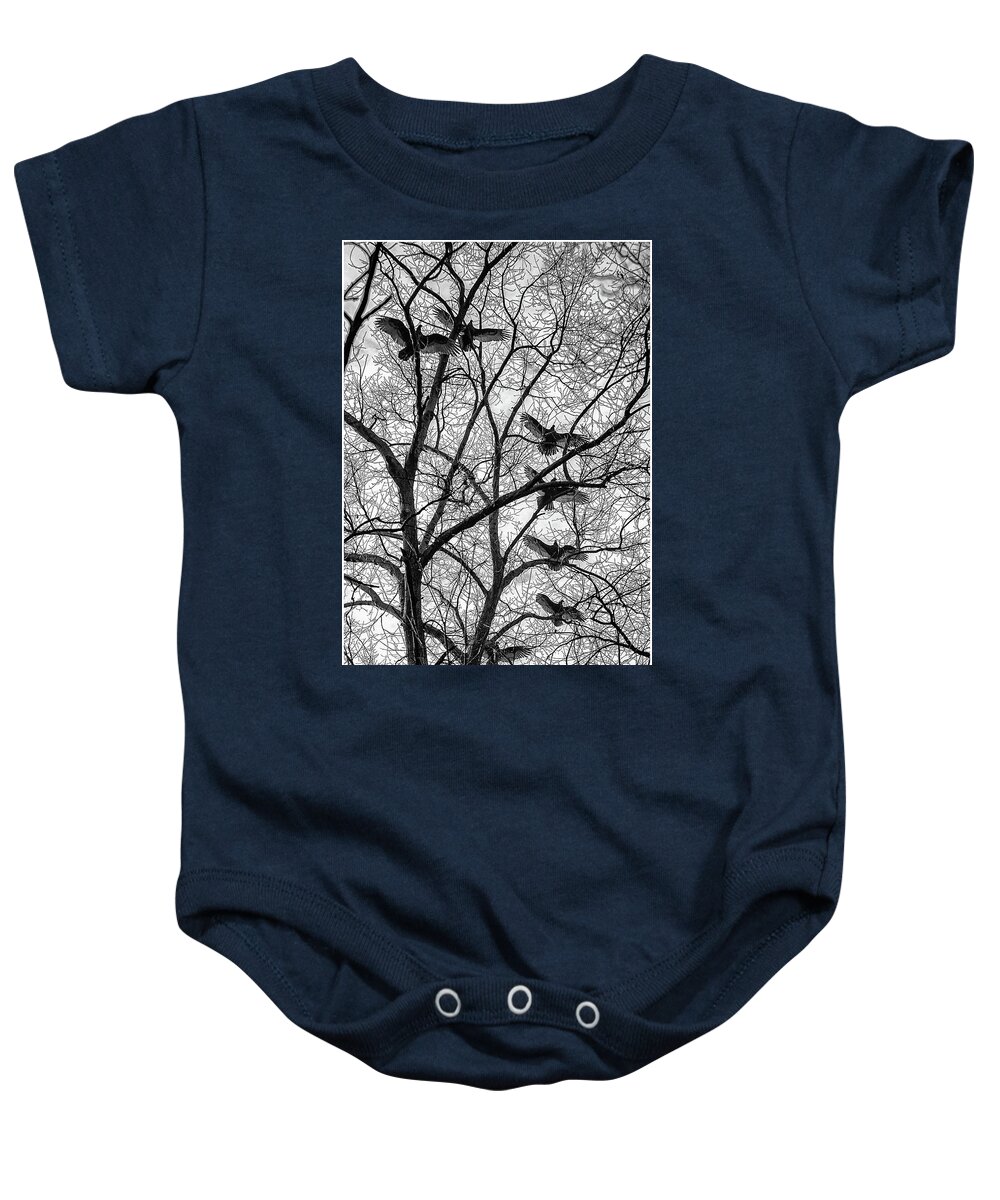 Birds Baby Onesie featuring the photograph Turkey Vultures Photography by Louis Dallara