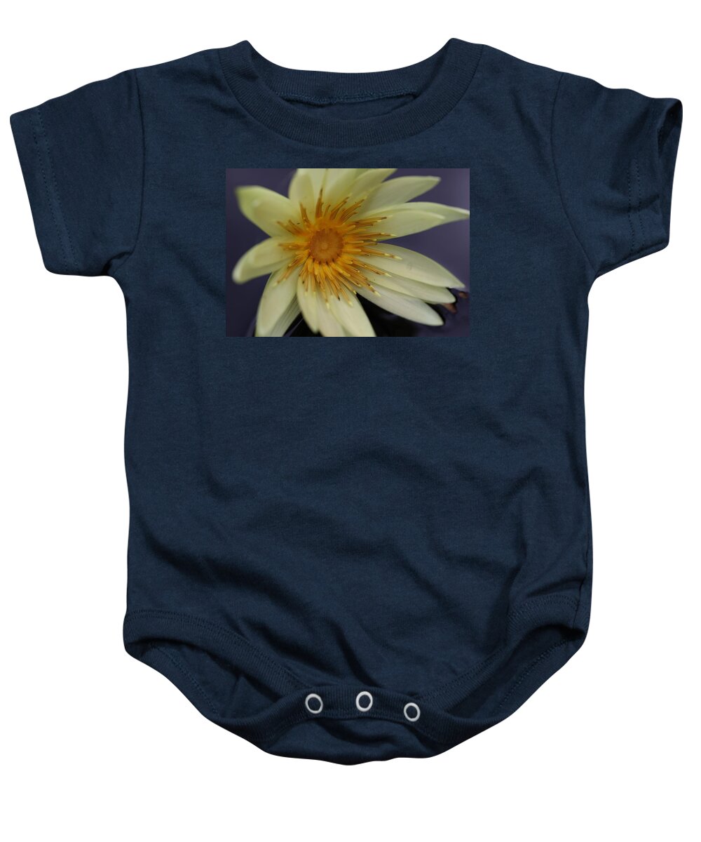 Water Lily Baby Onesie featuring the photograph Yellow Star by Mingming Jiang