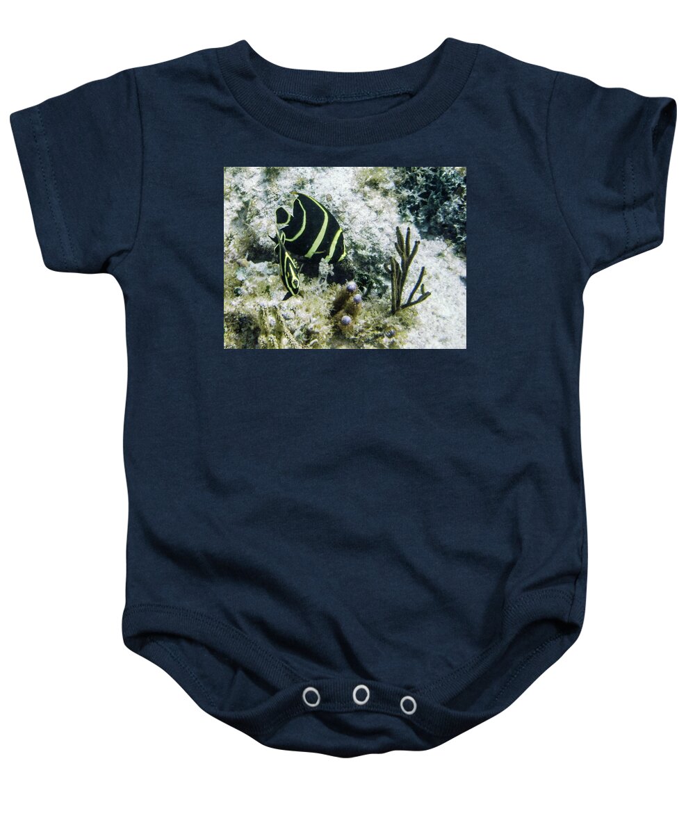 Animals Baby Onesie featuring the photograph Youngsters by Lynne Browne