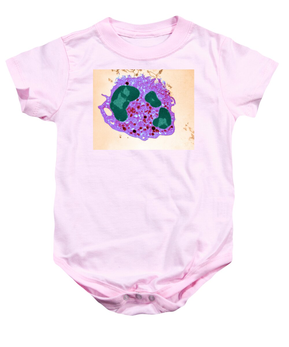 Transmission Electron Micrograph Baby Onesie featuring the photograph Human Neutrophil, Tem by David M. Phillips