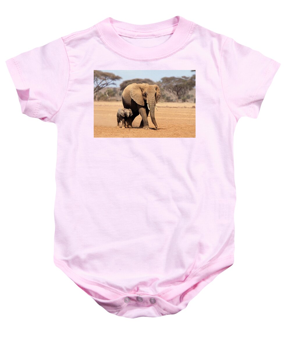 Adult Baby Onesie featuring the photograph African Elephant Loxodonta Africana #19 by Gerard Lacz