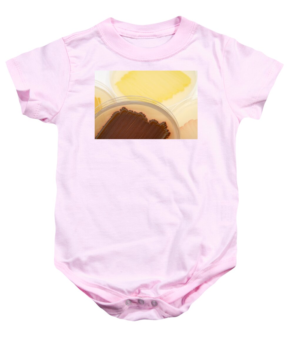 Cultures Baby Onesie featuring the photograph Bacterial Culture Plates #2 by Science Stock Photography