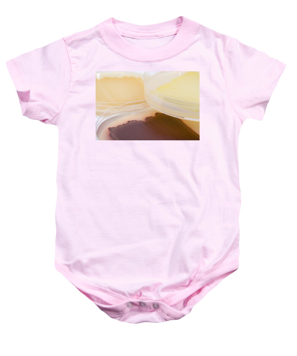 Culture Dish Baby Onesie featuring the photograph Bacterial Culture Plates #5 by Science Stock Photography