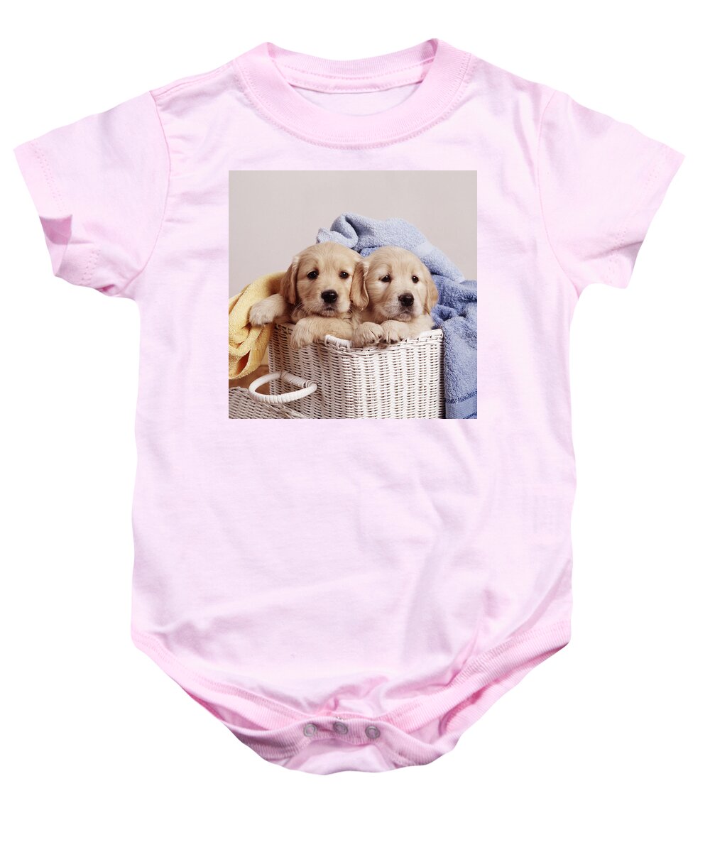 Dog Baby Onesie featuring the photograph Golden Retriever Puppies #7 by John Daniels