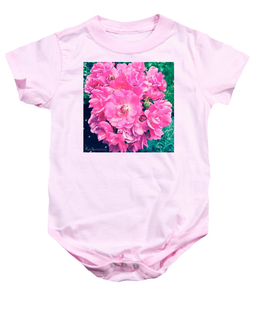 Global_nature_pinks Baby Onesie featuring the photograph All This On A Single Stem!! Pink Roses by Anna Porter