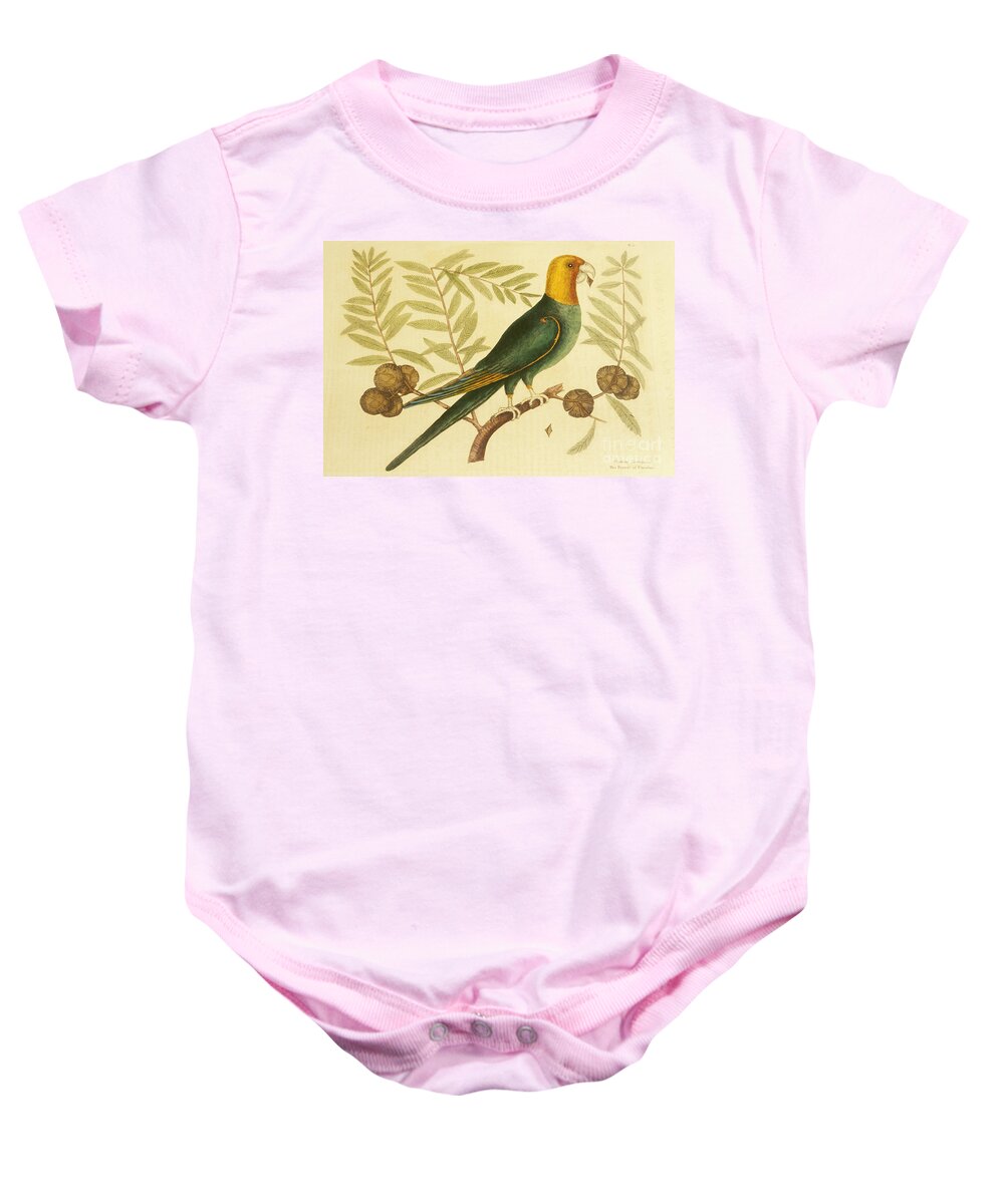 Animal Baby Onesie featuring the photograph Antique Print Of Extinct Carolina by Will and Deni McIntyre