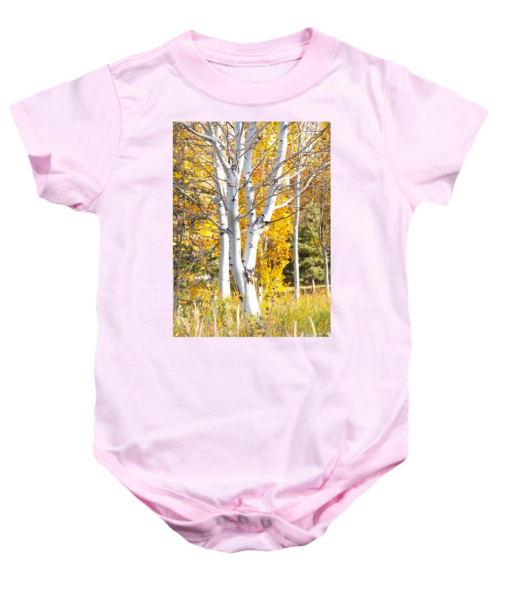 Utah Baby Onesie featuring the photograph Aspens in fall by David Millenheft