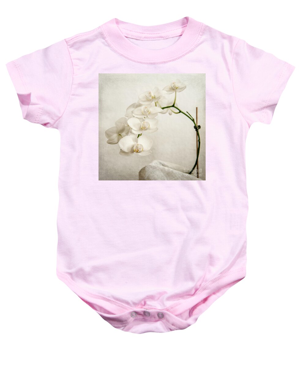 1x1 Baby Onesie featuring the photograph Beautiful white orchid II by Hannes Cmarits