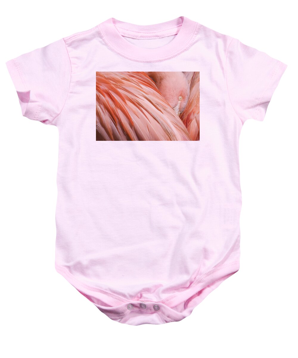 Blushing Flamingo Baby Onesie featuring the photograph Blushing Flamingo by Wes and Dotty Weber