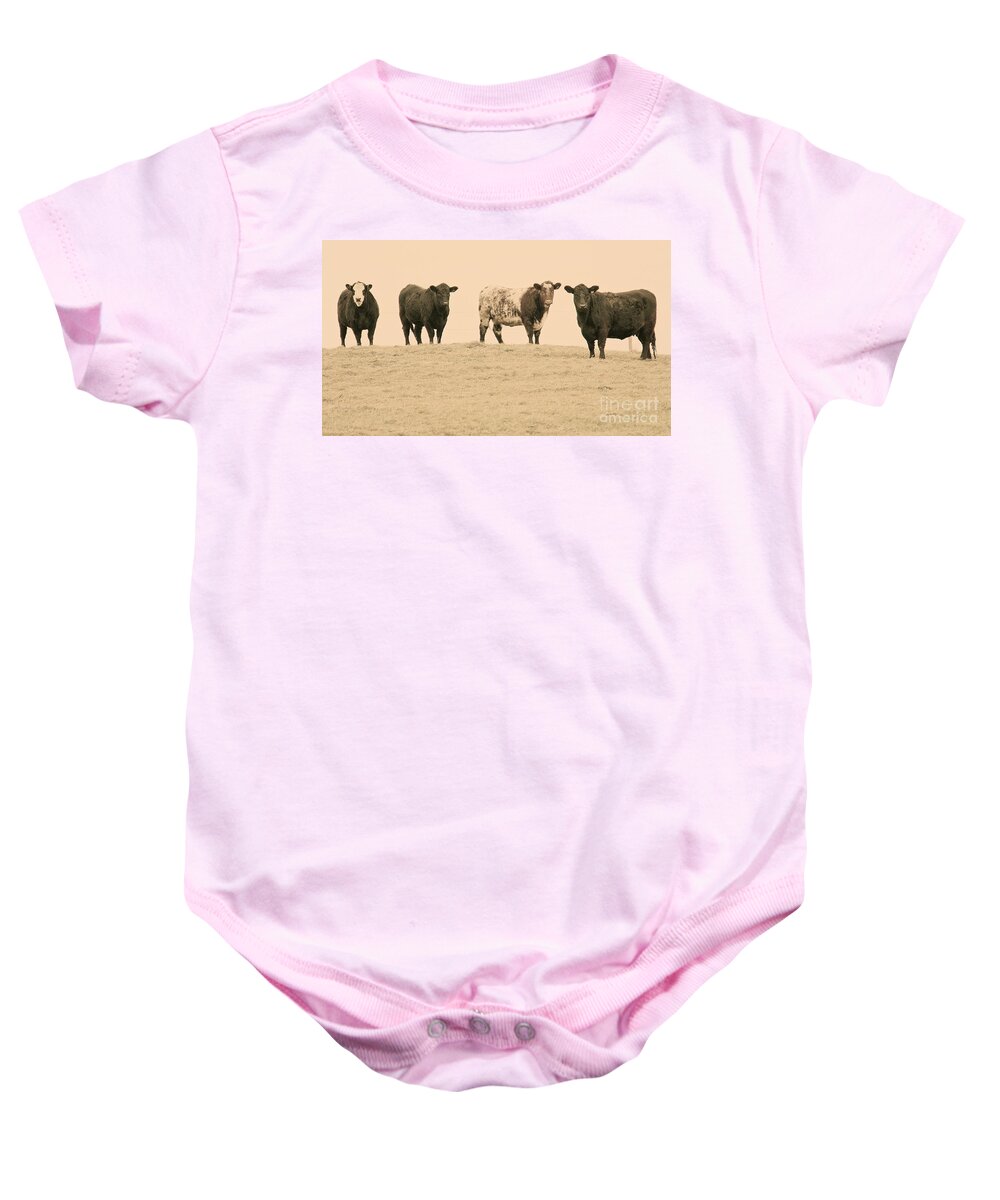 Cows Baby Onesie featuring the photograph Curious Cows by Suzanne Oesterling