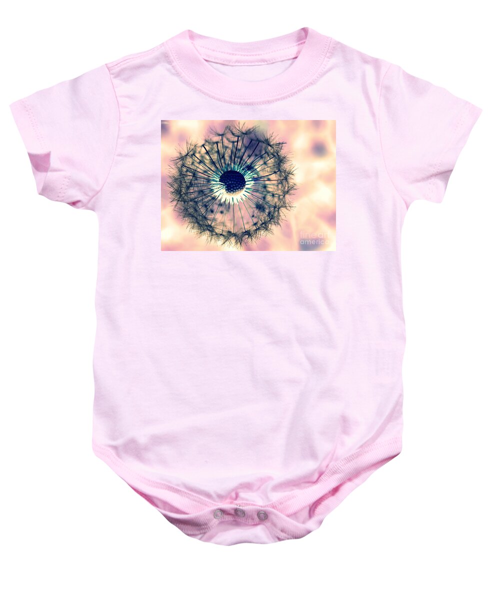 Dandelions Baby Onesie featuring the photograph Dandelion 5 by Amanda Mohler