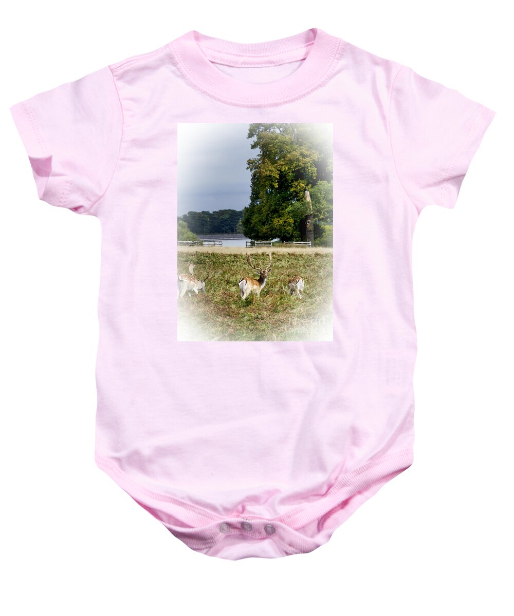 Wildlife Baby Onesie featuring the photograph Deer Park by Linsey Williams