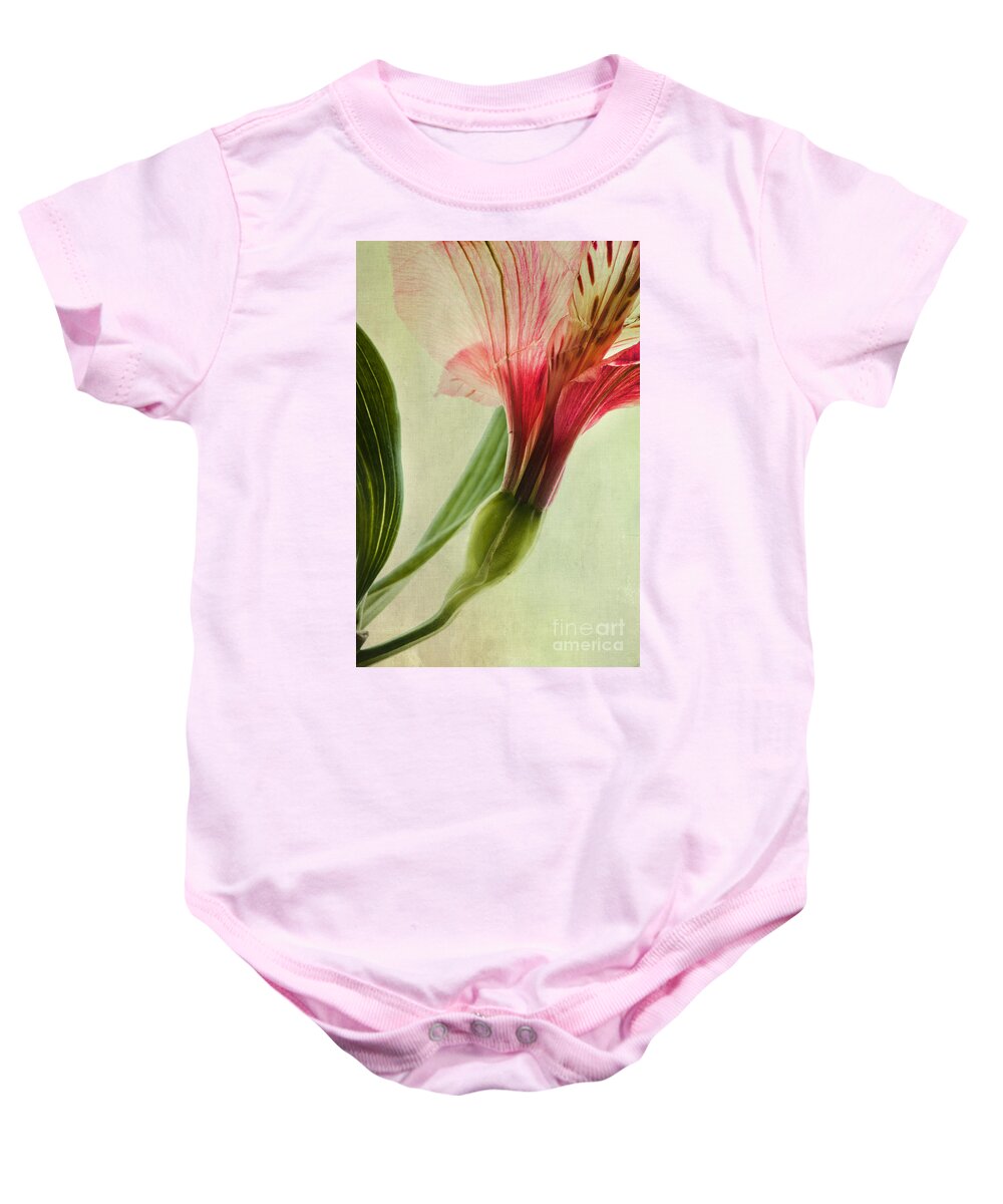 Peruvian Lily Baby Onesie featuring the photograph Dim Colours by Priska Wettstein