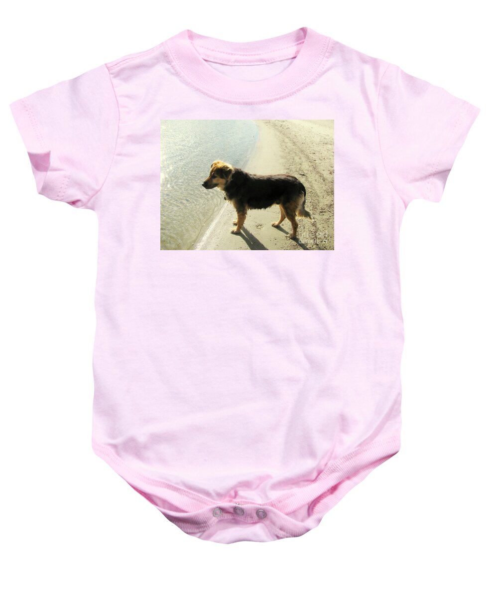 Dog Baby Onesie featuring the photograph Dog Watching by Leone Lund
