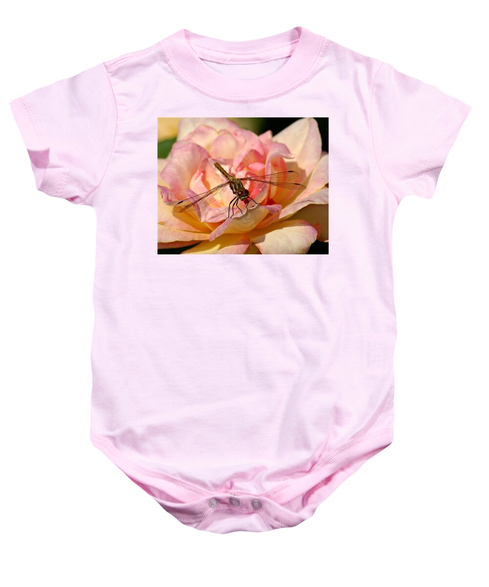 Dragonflies Baby Onesie featuring the photograph Dragonfly on a Rose by Ben Upham III