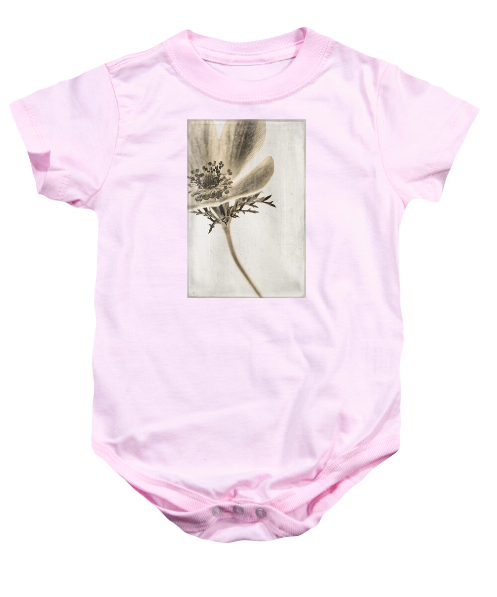 Anemone Baby Onesie featuring the photograph Faded Memory by Caitlyn Grasso