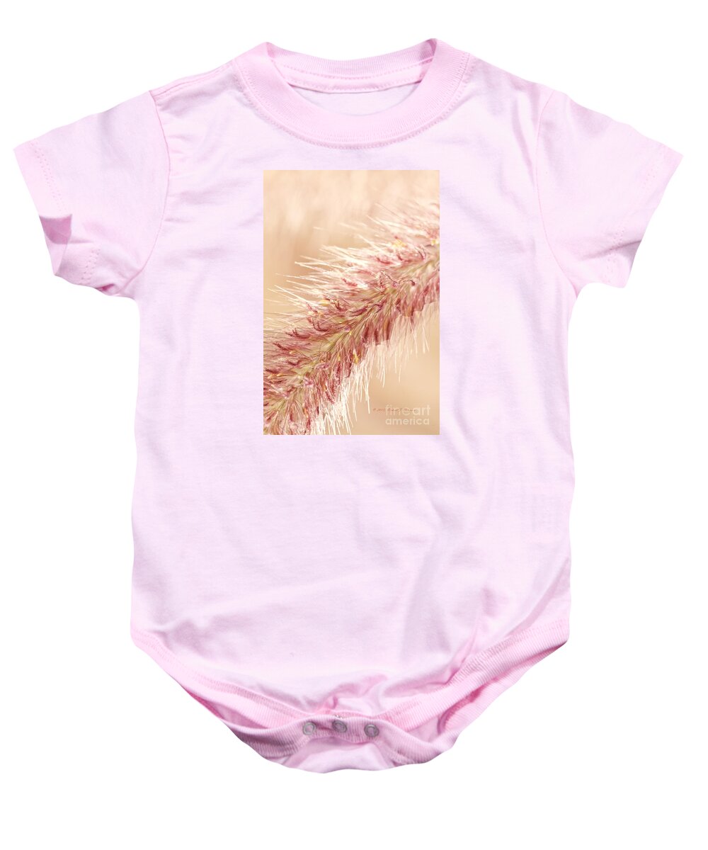 Close-up Baby Onesie featuring the photograph Fountain Grass Blooms  #2 by Richard J Thompson 