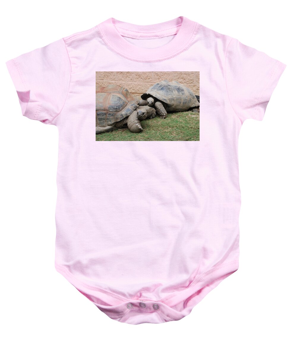 Tortoise Baby Onesie featuring the photograph Giant Tortoises by Jennifer Ancker