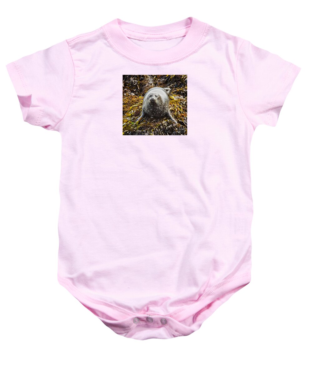 Animal Baby Onesie featuring the photograph Harbor Seal by Alice Cahill
