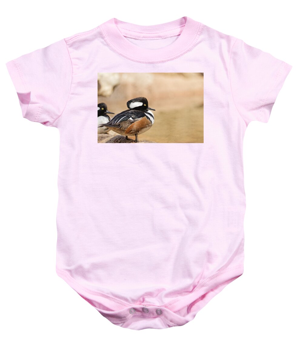 Animal Baby Onesie featuring the photograph Hooded Merganser by Peter Lakomy