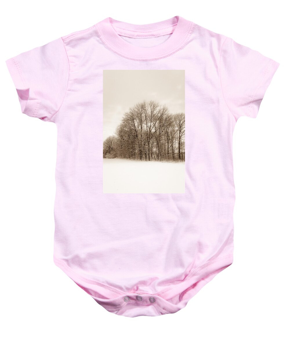 Freedom Park Baby Onesie featuring the photograph Indiana Winter at Freedom Park - Vertical by Ron Pate