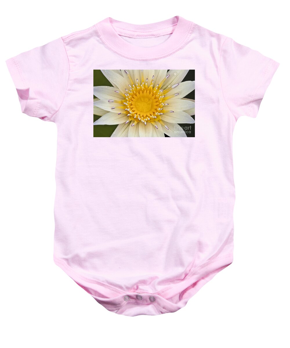 Water Llilies Baby Onesie featuring the photograph Lily of the Lake by Heiko Koehrer-Wagner